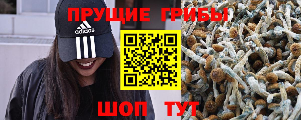 Хабаровск  Псилоцибиновые грибы Cubensis  Вход с VPN 